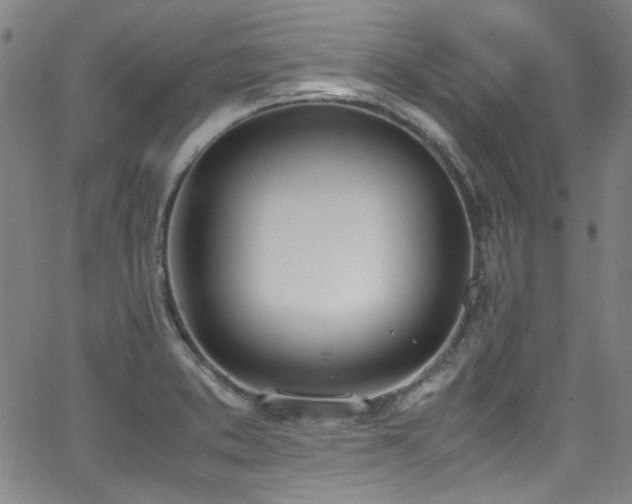 X0000062931373200601131500