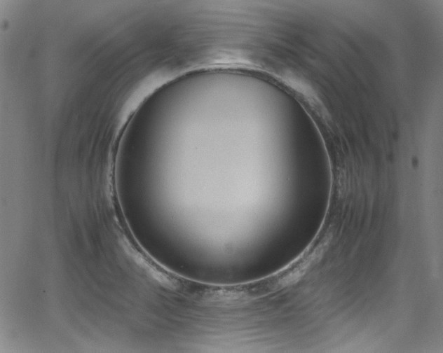 X0000062931374200601131500