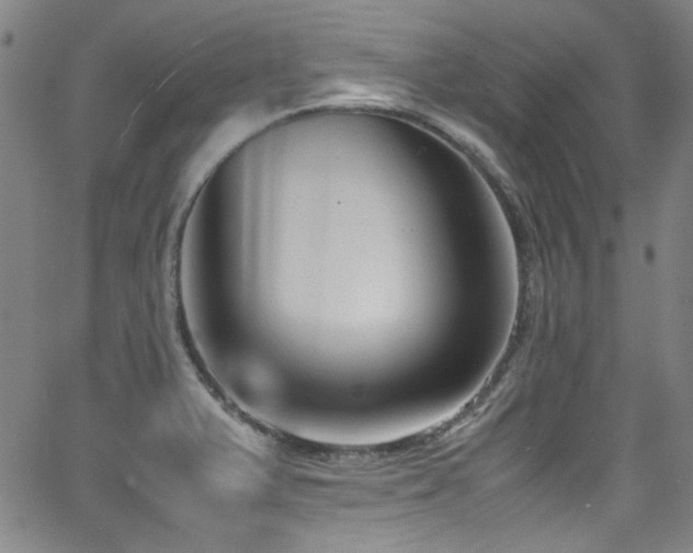 X0000062931375200601131500