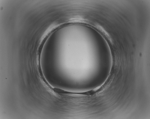 X0000062931376200601131500