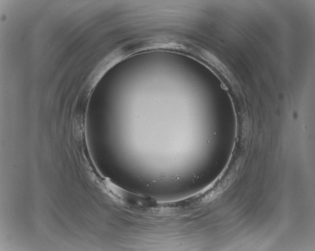 X0000062931377200601131500