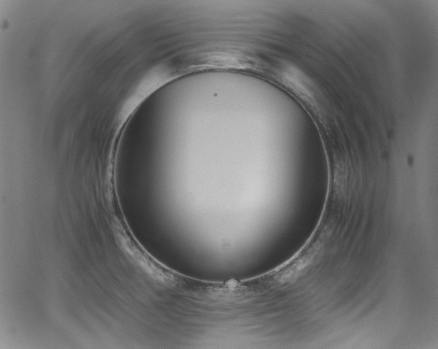 X0000062931378200601131500