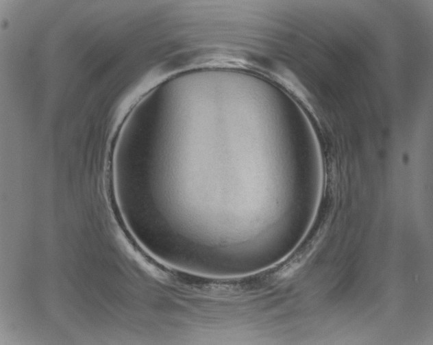 X0000062931379200601131500