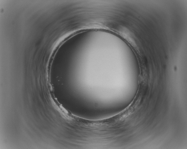 X0000062931380200601131500