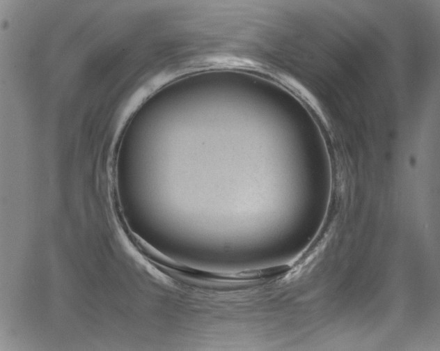 X0000062931381200601131500