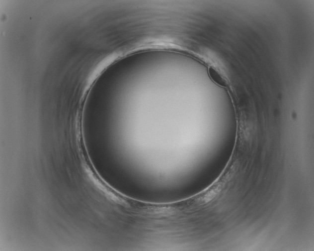 X0000062931382200601131500