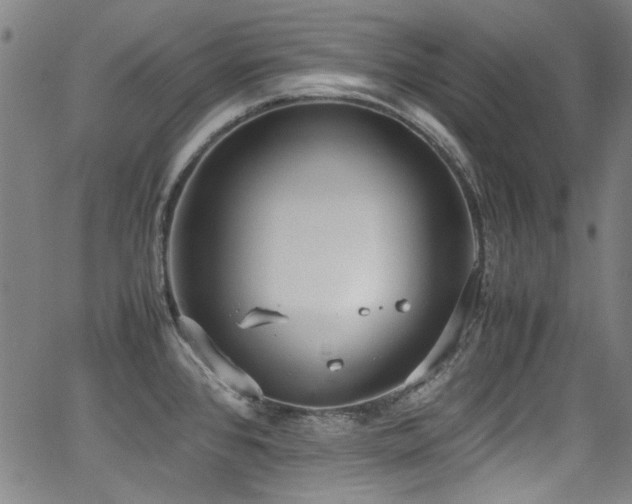 X0000062931384200601131500