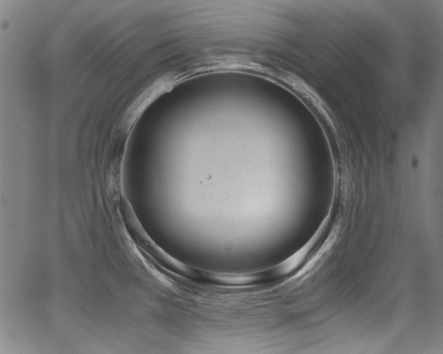 X0000062931385200601131500