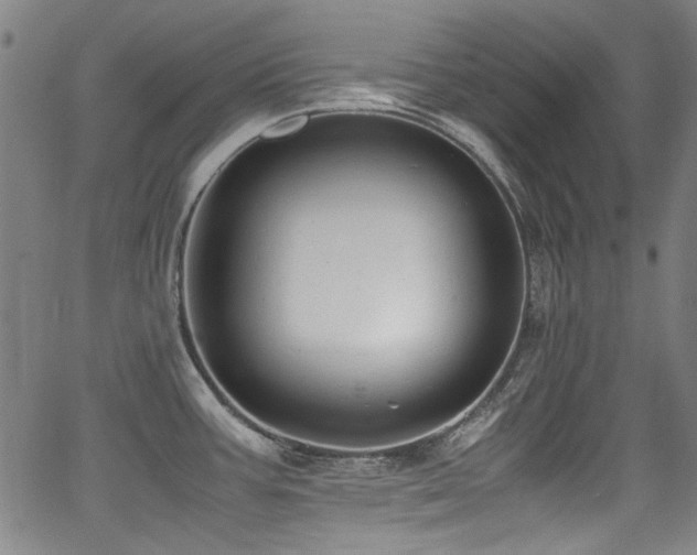 X0000062931387200601131500