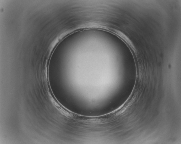 X0000062931388200601131500