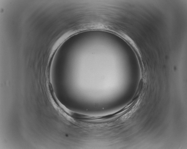 X0000062931389200601131500