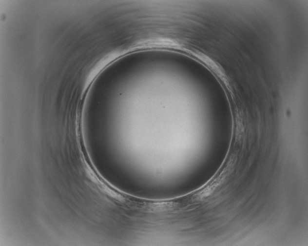 X0000062931390200601131500