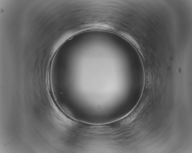 X0000062931391200601131500