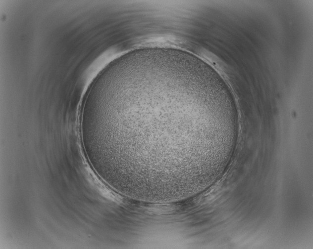 X0000062931392200601131500