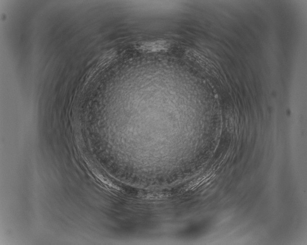 X0000062931393200601131459