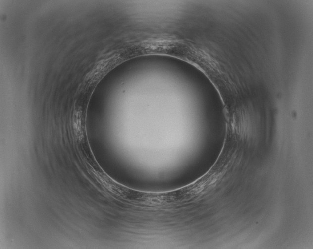 X0000062931396200601131459