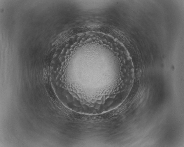 X0000062931397200601131459