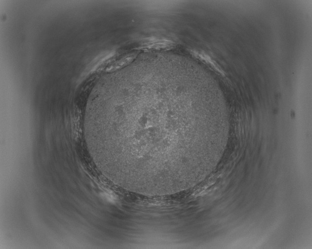 X0000062931399200601131459