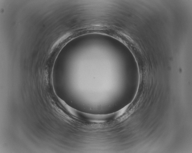 X0000062931402200601131459