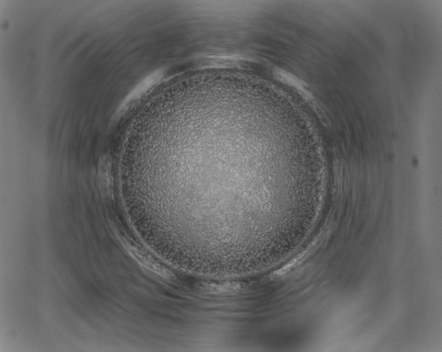 X0000062931403200601131459