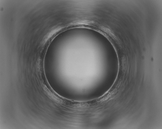 X0000062931404200601131459