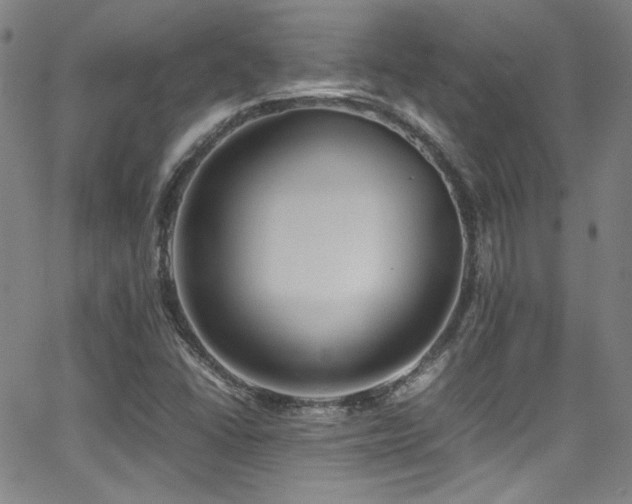 X0000062931406200601131459