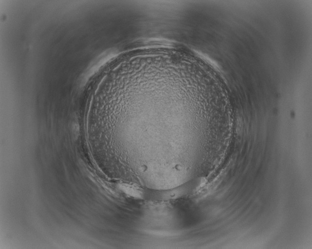 X0000062931407200601131459