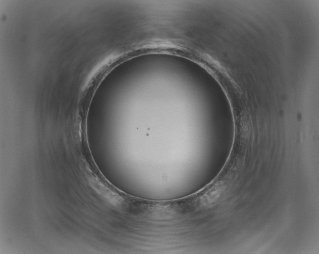 X0000062931408200601131459