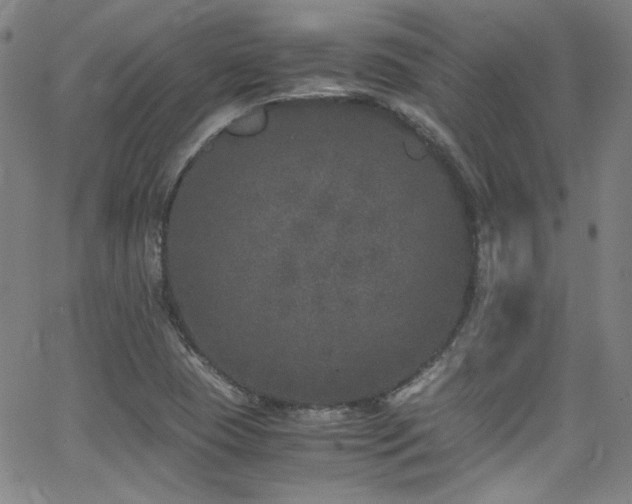 X0000062931409200601131459