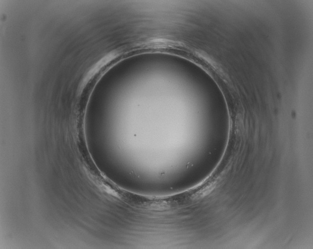 X0000062931410200601131459