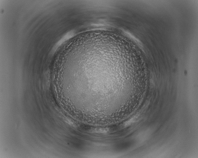 X0000062931411200601131459