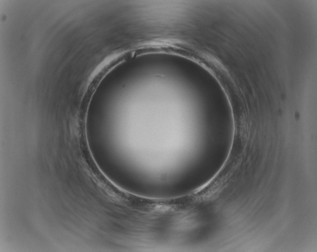 X0000062931412200601131459