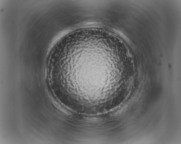 X0000062931413200601131459