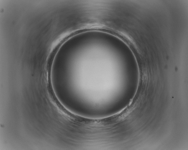 X0000062931414200601131459