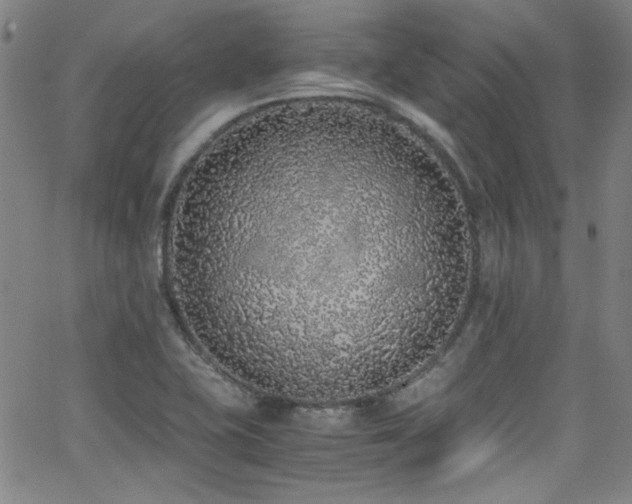 X0000062931415200601131459