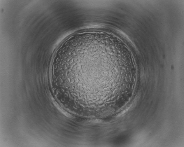 X0000062931417200601131459