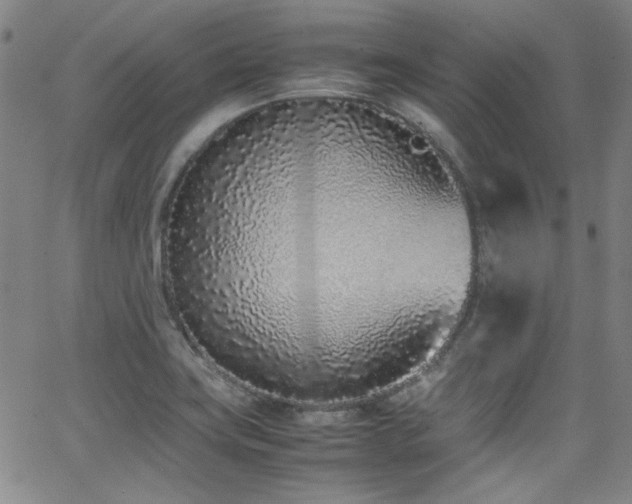 X0000062931419200601131459