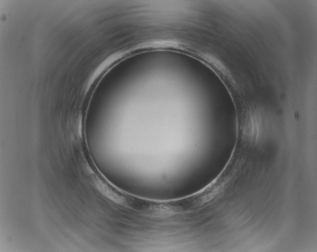 X0000062931420200601131459