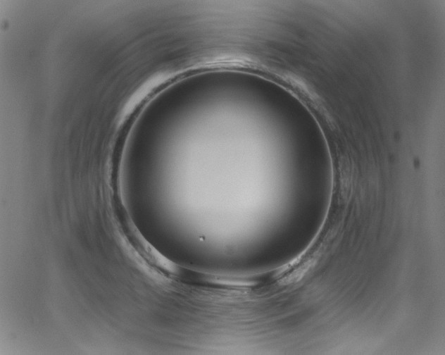 X0000062931422200601131459