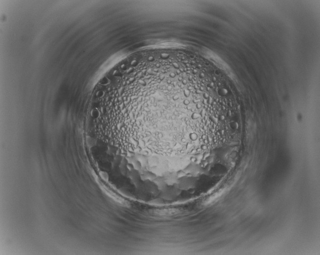 X0000062931425200601131500