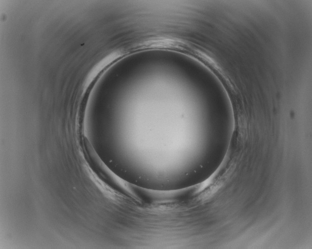 X0000062931426200601131500