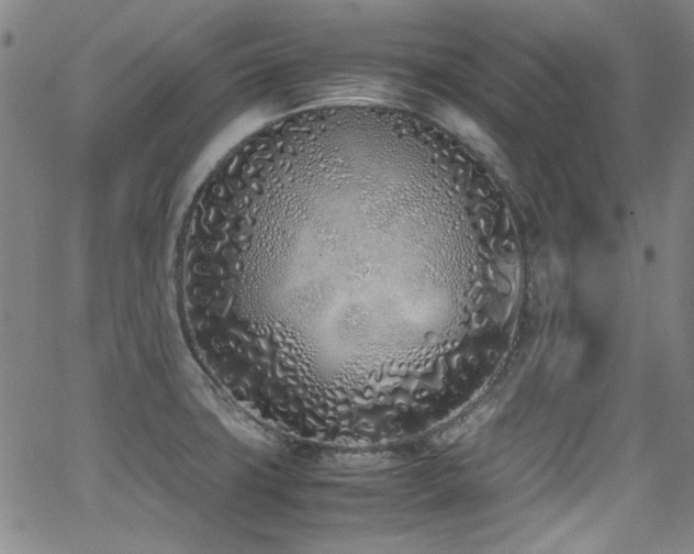 X0000062931427200601131500