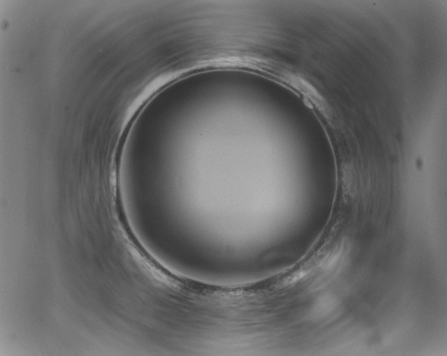 X0000062931428200601131500