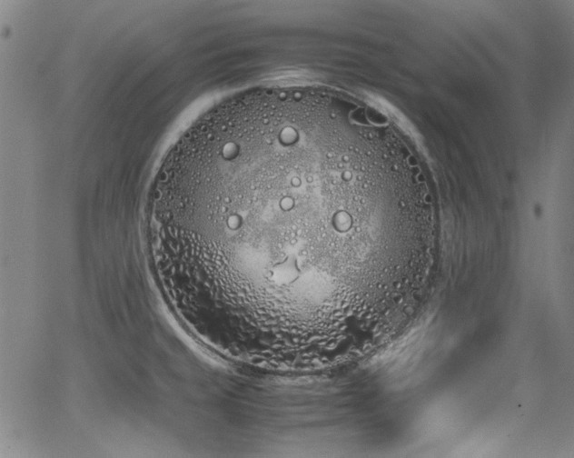 X0000062931429200601131500