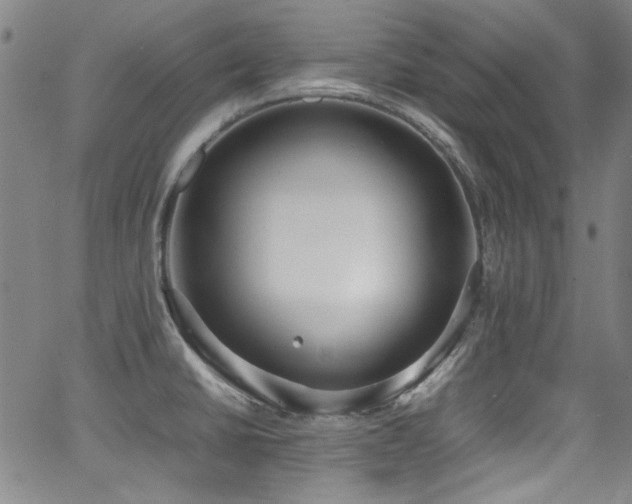 X0000062931430200601131500