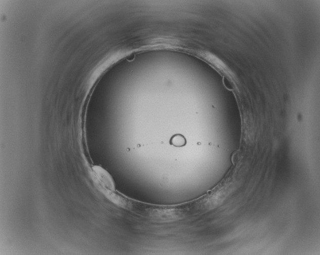 X0000062931431200601131500