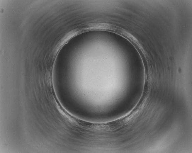 X0000062931433200601131500