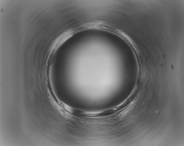 X0000062931434200601131500