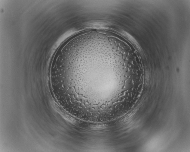 X0000062931435200601131500