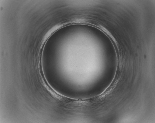 X0000062931437200601131500